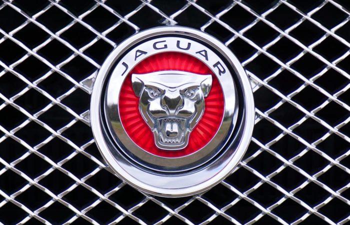 brand video jaguar