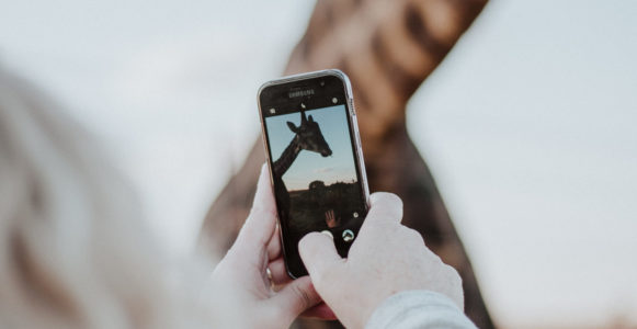 A woman taking a photo of Giraffe through a Stories app